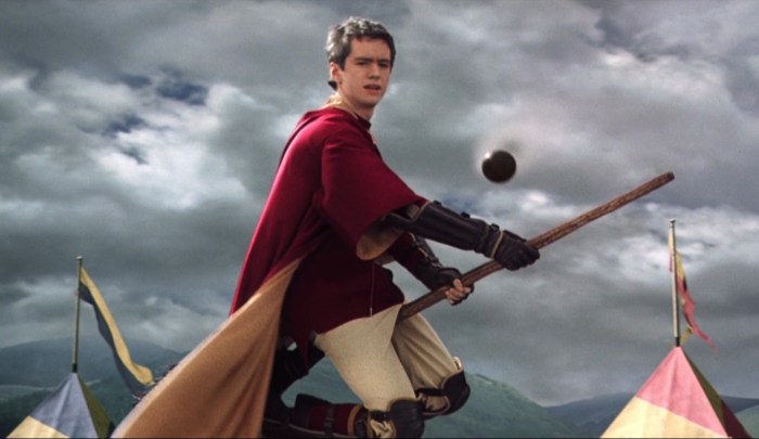 Harry potter quidditch position quiz