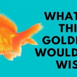 Goldfish lesson wish short would story preview