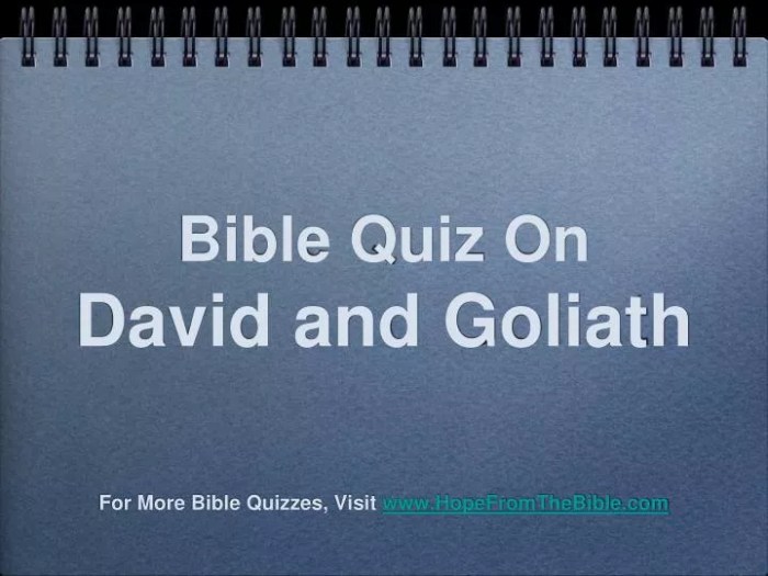 David and goliath questions and answers