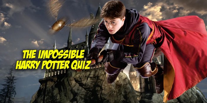 Harry potter quidditch quiz ultimate position does play team mary grandpre playbuzz illustrations book cover