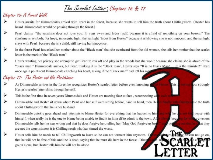 The scarlet letter chapter 12