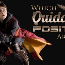 Harry potter quidditch position quiz