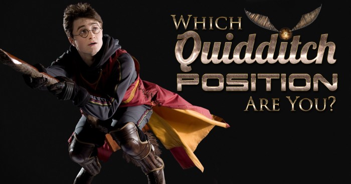 Harry potter quidditch position quiz