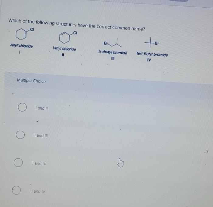 Which of the following structures have the correct common name