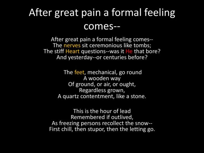 After great pain a formal feeling comes by emily dickinson