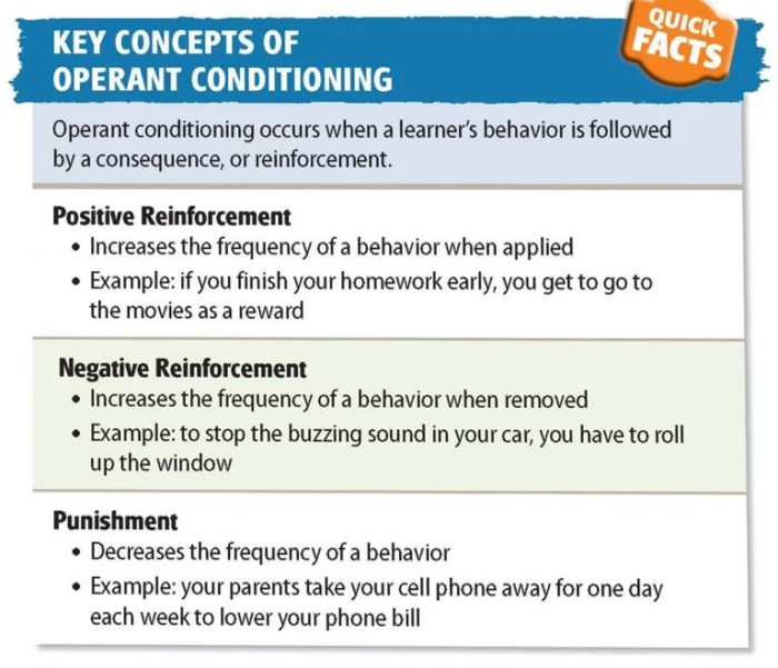 Behavior therapists emphasize which of the following